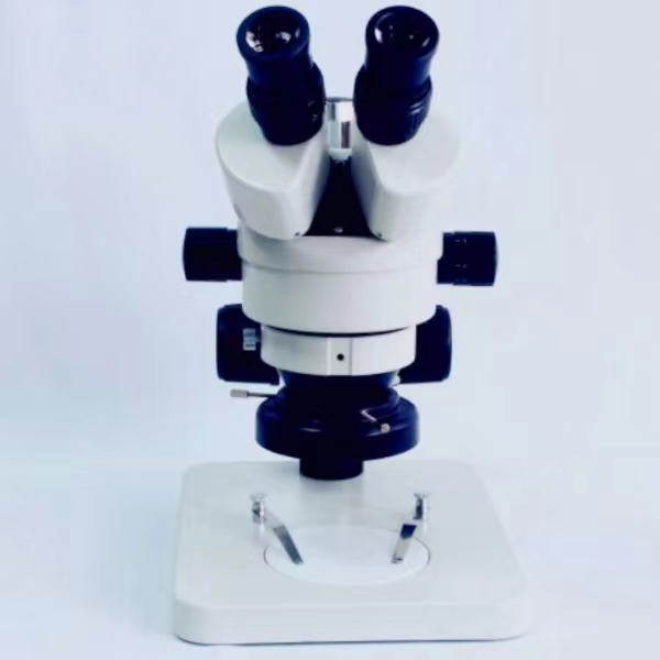 stereo microscope